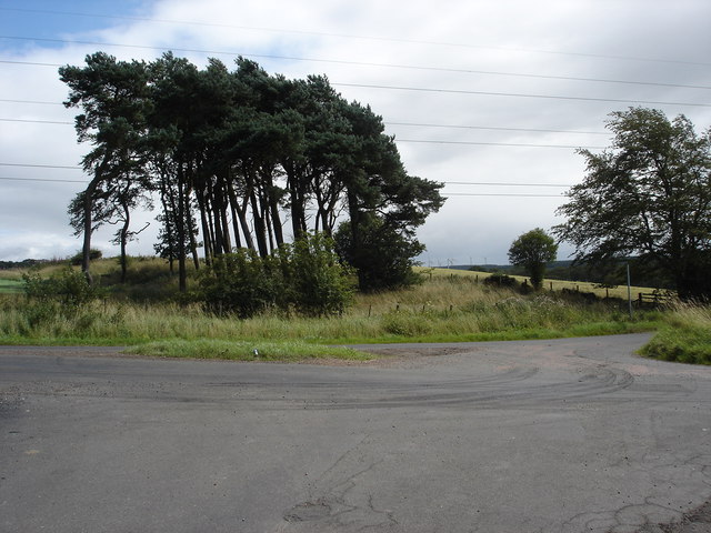 Tire skid marks on the road around a roundabout